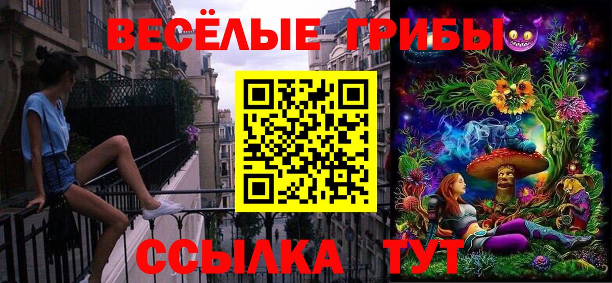 Галлюциногенные грибы Cubensis Коммунар