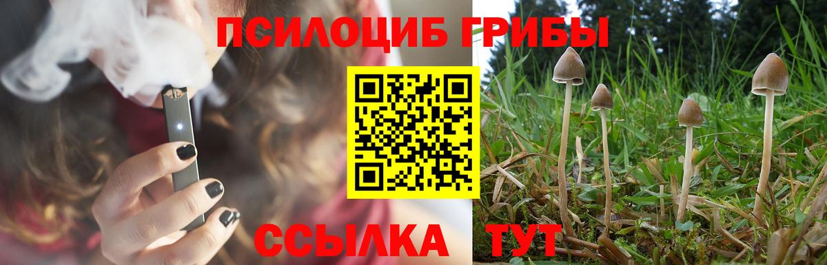 что такое наркотик  Вход с VPN  Галлюциногенные грибы Psilocybine cubensis  Коммунар  Псилоцибиновые грибы MAGIC MUSHROOMS 